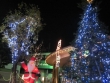 「クリスマス　イルミネーション2012」
