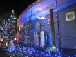 「クリスマス　イルミネーション　2014」